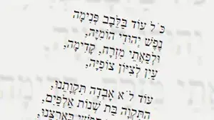 אילוסטרציה אילוסטרציה