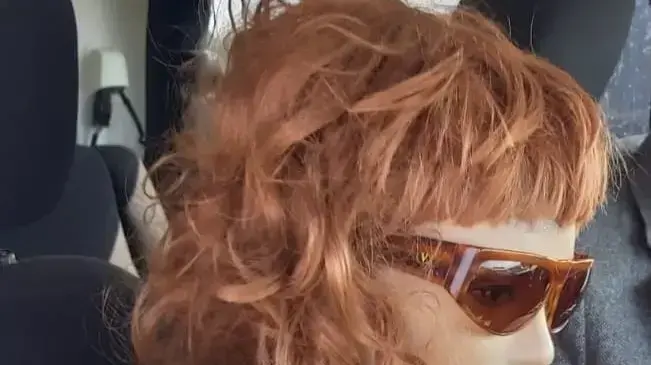 נהג השתמש בבובה כדי לנסוע בנתיב לשני נוסעים ומעלה נהג השתמש בבובה כדי לנסוע בנתיב לשני נוסעים ומעלה
