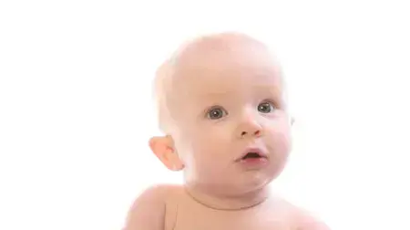 אילוסטרציה אילוסטרציה