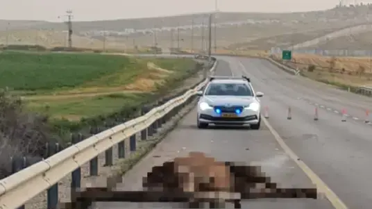 זירת התאונה הקטלנית בנגב 18 באפריל 2022
זירת התאונה הקטלנית בנגב 18 באפריל 2022