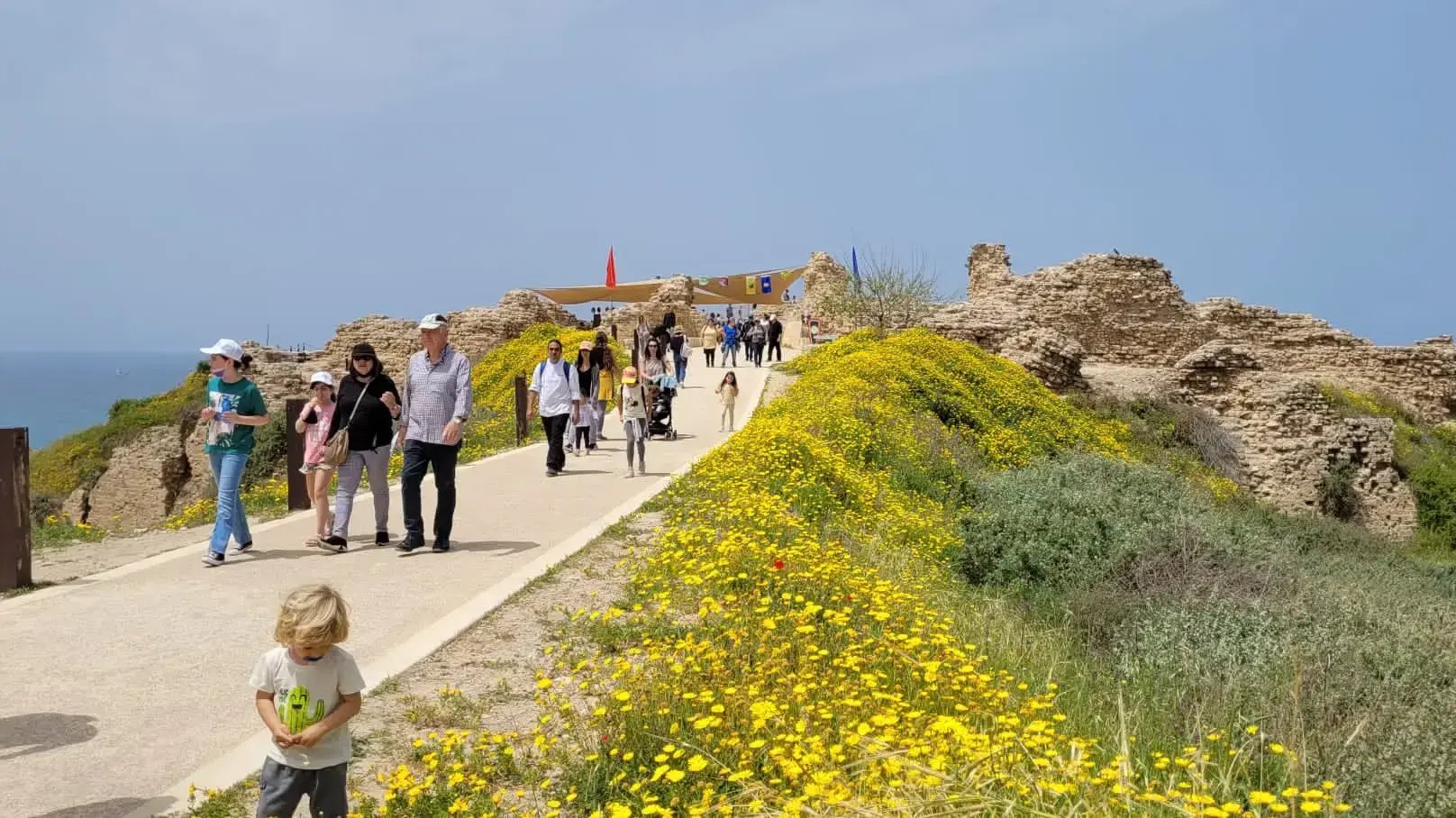 הגן הלאומי אפולוניה אדר סטולרו מליחי רשות הטבע והגנים 19 באפריל 2022 הגן הלאומי אפולוניה אדר סטולרו מליחי רשות הטבע והגנים 19 באפריל 2022