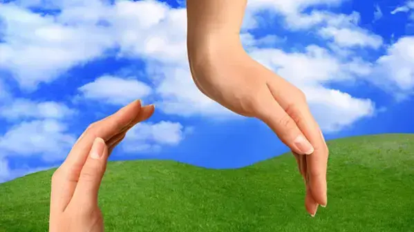 אילוסטרציה אילוסטרציה