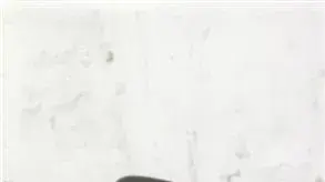 הרב הנזיר והרב צבי יהודה קוק מתפללים בכותל לאחר שחרור העיר העתיקה הרב הנזיר והרב צבי יהודה קוק מתפללים בכותל לאחר שחרור העיר העתיקה