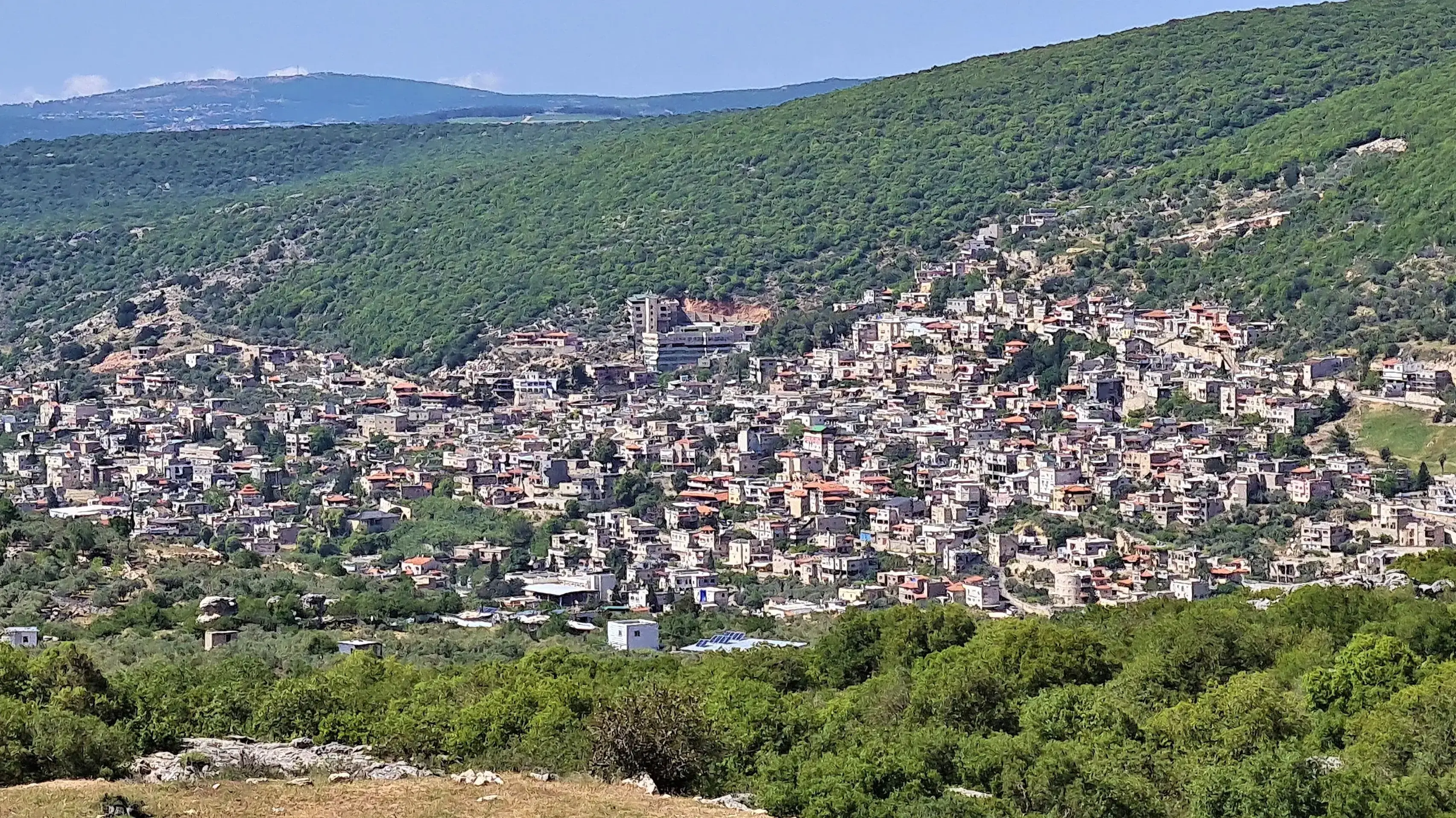 פקיעין פקיעין