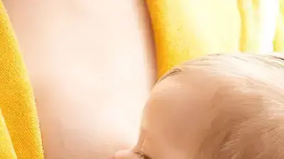 אילוסטרציה אילוסטרציה