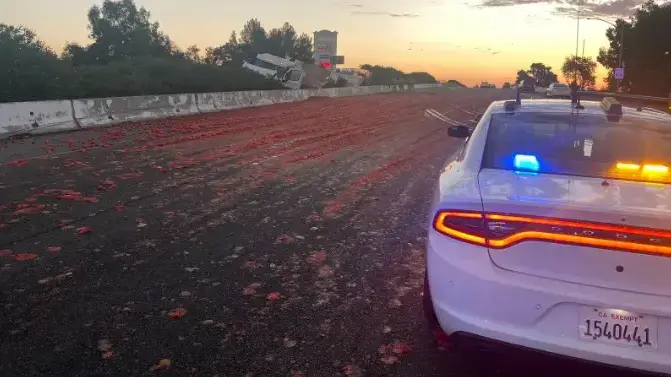 כביש מהיר 80 בקליפורניה נסגר לאחר שעשרות אלפי עגבניות נשפכו עליו כביש מהיר 80 בקליפורניה נסגר לאחר שעשרות אלפי עגבניות נשפכו עליו