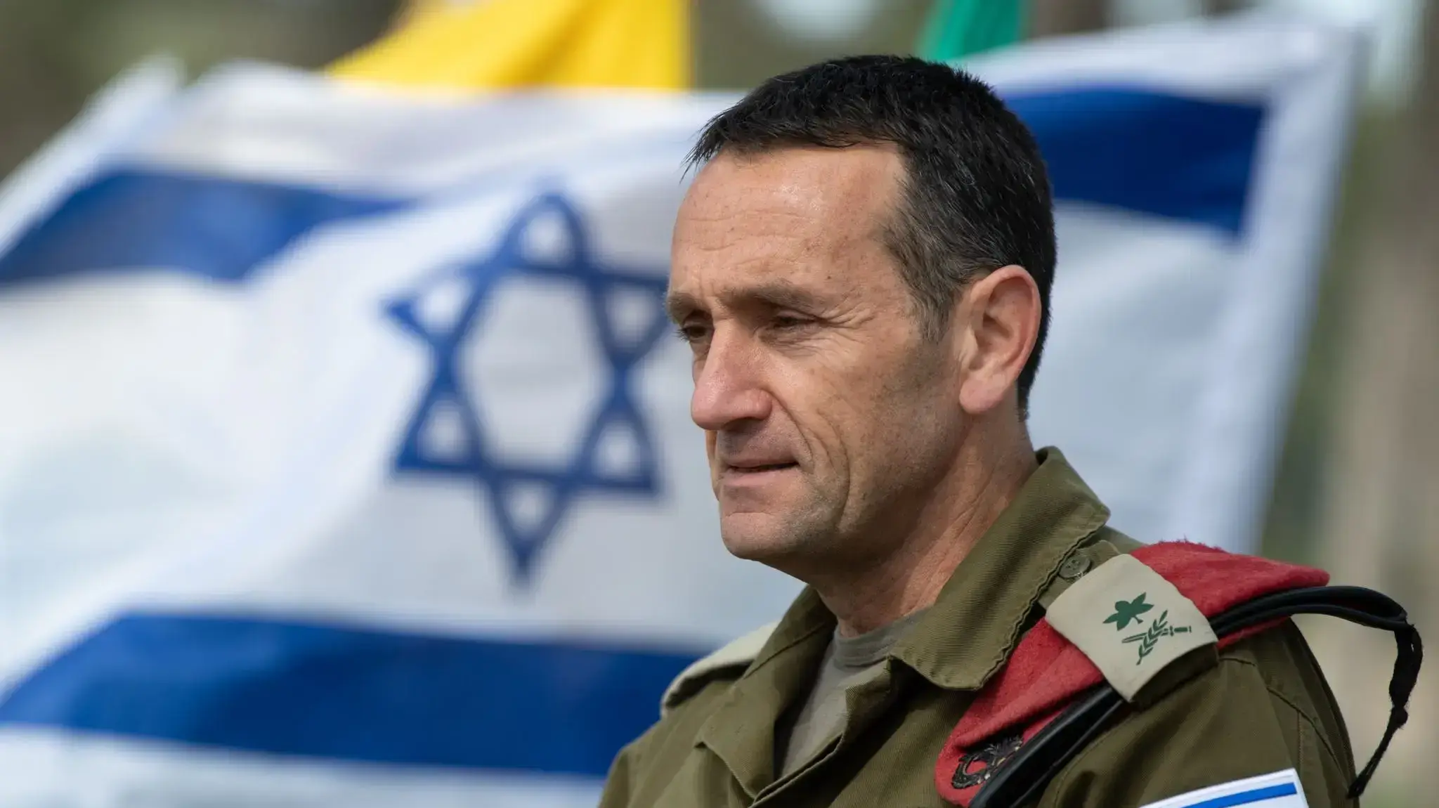 הרצי הלוי הרצי הלוי