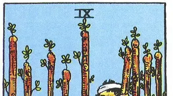 טארוט תשעה מטות nine wands