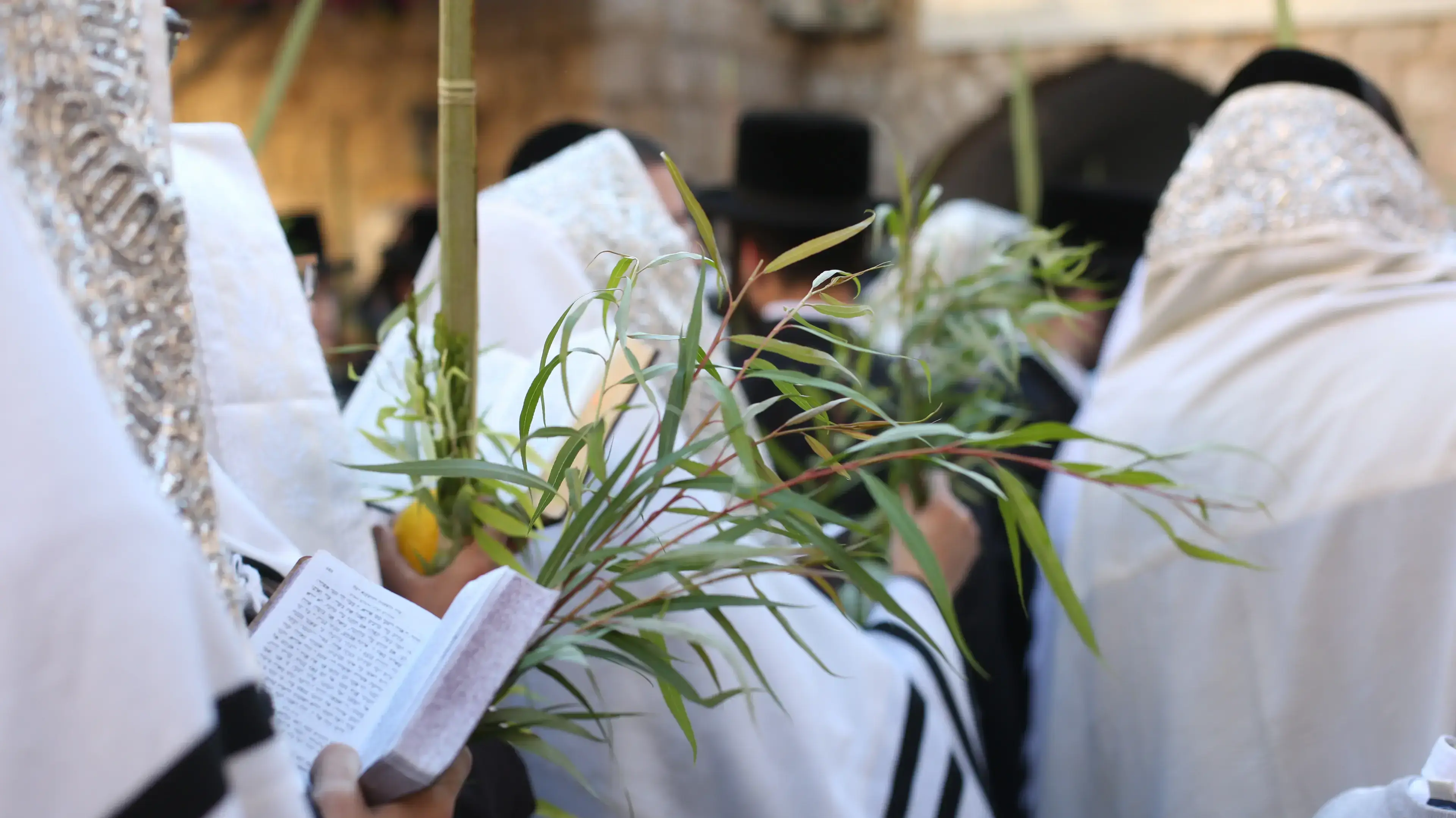 יהודים דתיים מתפללים במהלך חג סוכות יהודים דתיים מתפללים במהלך חג סוכות