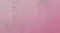 יום המאבק באלימות נשים