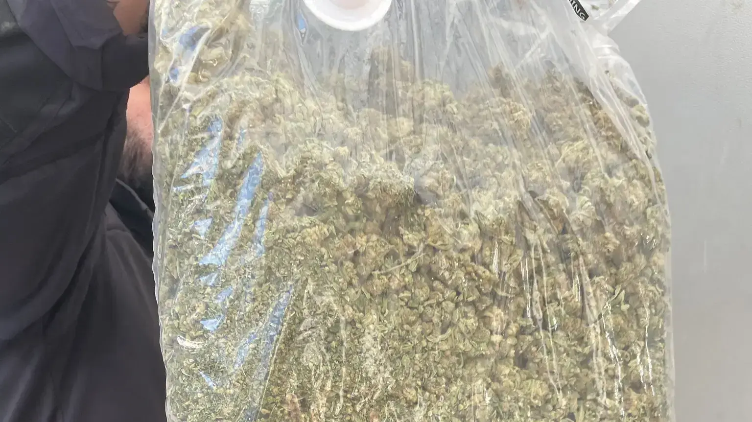 120 ק"ג מריחואנה נחשפו בשתי מעבדות סמים בדירות מגורים ברעננה ובשערי תקווה. ה-18 בדצמבר 2022 120 ק"ג מריחואנה נחשפו בשתי מעבדות סמים בדירות מגורים ברעננה ובשערי תקווה. ה-18 בדצמבר 2022