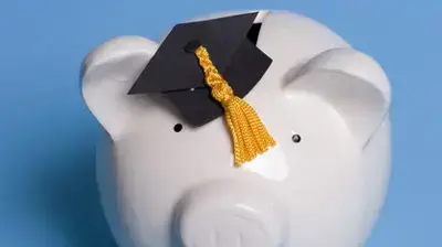 קופת חזרזיר piggibank קופת חזרזיר piggibank