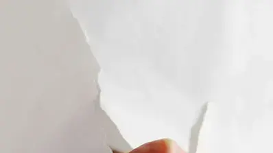 אילוסטרציה אילוסטרציה