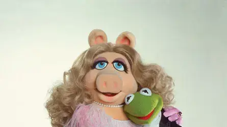 החבובות