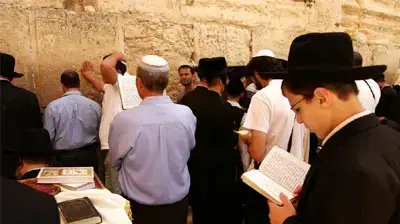 חרדים חרדים