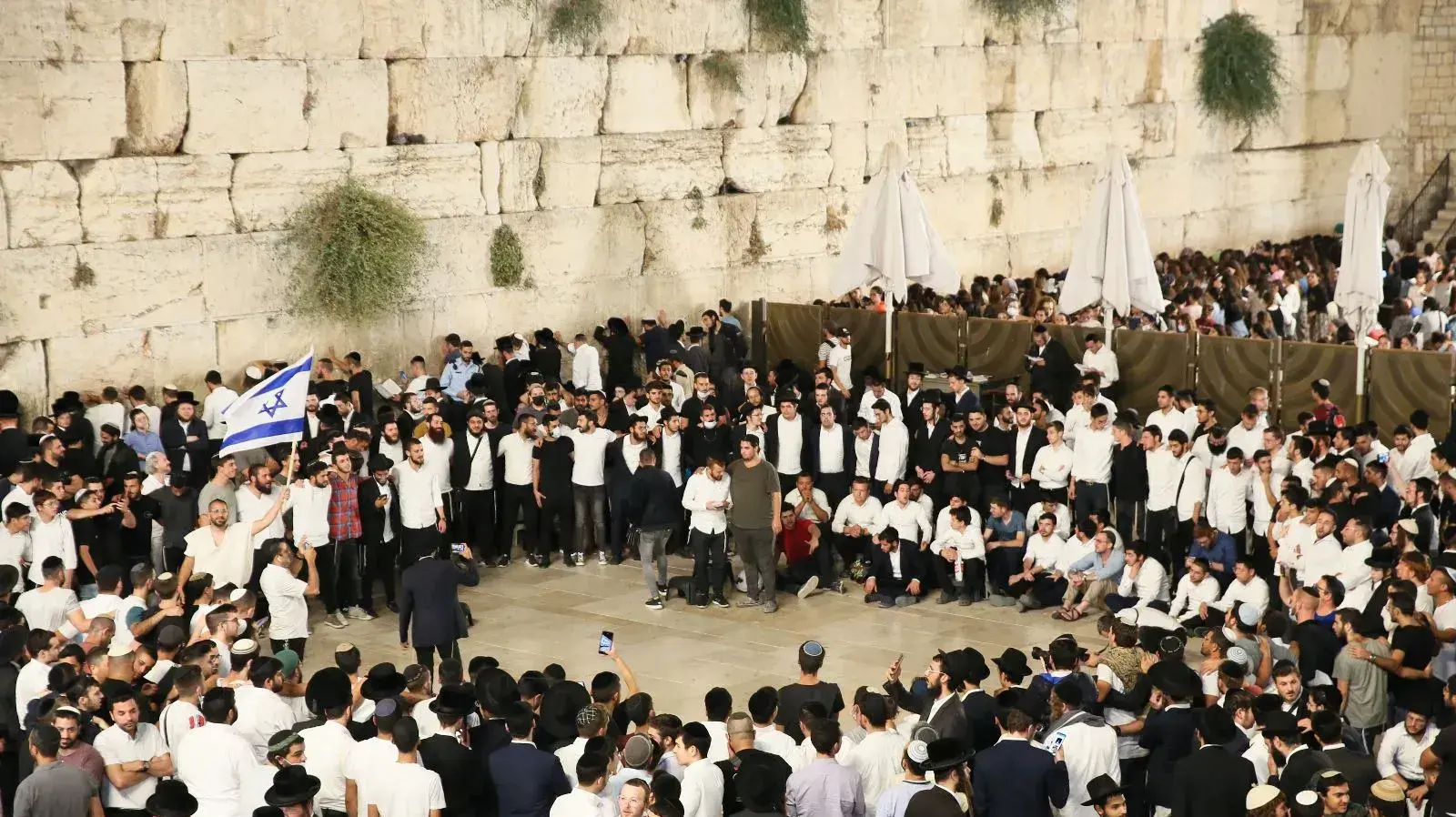 מתפללים בכותל המערבי בתשעה באב 2022 מתפללים בכותל המערבי בתשעה באב 2022
