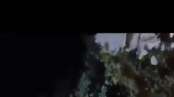 צנחן שנתקע על עץ בקיבוץ מעגן מחולץ, 17 בספטמבר 2023 צנחן שנתקע על עץ בקיבוץ מעגן מחולץ, 17 בספטמבר 2023
