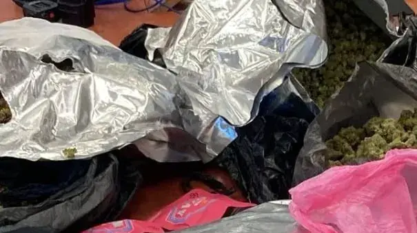 סמים שנתפסו ברשות חשוד בסחר בנתניה סמים שנתפסו ברשות חשוד בסחר בנתניה