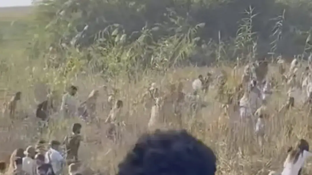 הבריחה הגדולה של שורדי המסיבה ברעים הבריחה הגדולה של שורדי המסיבה ברעים