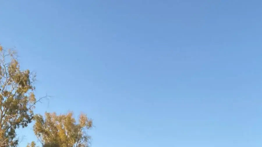 חלל צה"ל סמ"ר איליה סנקין חלל צה"ל סמ"ר איליה סנקין
