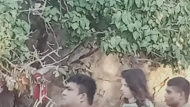 המטיילת תמר עמיתי שהייתה נעדרת בסרי לנקה ואותרה בריאה ושלמה, 29 ביוני 2024 המטיילת תמר עמיתי שהייתה נעדרת בסרי לנקה ואותרה בריאה ושלמה, 29 ביוני 2024