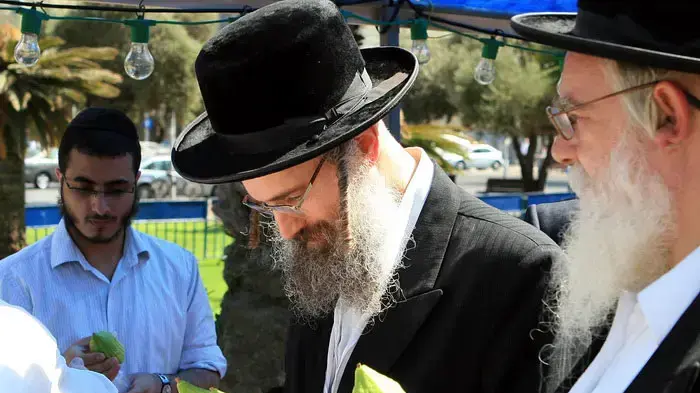 בדיקת אתרוג בדיקת אתרוג