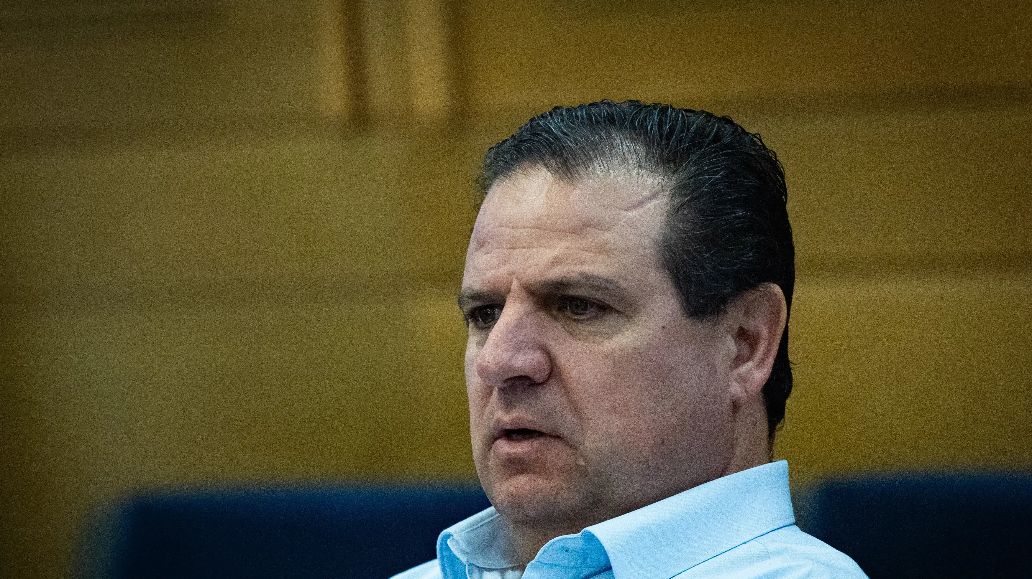 איימן עודה, דיון בנושא רצח נשים וקורבנות נשים וילדים בחברה הערבית - לציון יום מיוחד בנושא המאבק בפשיעה ואלימות בחברה הערבית, 21 בינואר 2025 איימן עודה, דיון בנושא רצח נשים וקורבנות נשים וילדים בחברה הערבית - לציון יום מיוחד בנושא המאבק בפשיעה ואלימות בחברה הערבית, 21 בינואר 2025