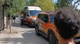 עובד הותקף על ידי נמר בגן החיות התנ"כי, 1 באוגוסט 2025 עובד הותקף על ידי נמר בגן החיות התנ"כי, 1 באוגוסט 2025