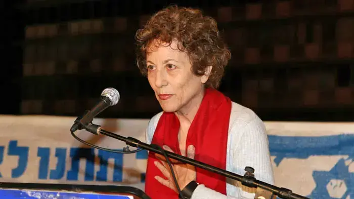 מיקי גולדווסר מיקי גולדווסר