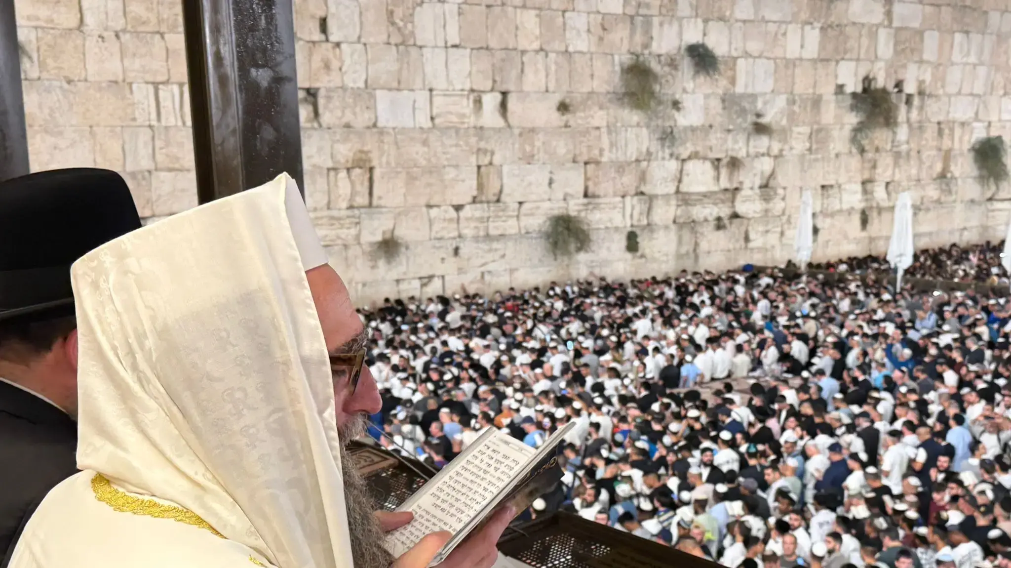 הרב פינטו הרב פינטו