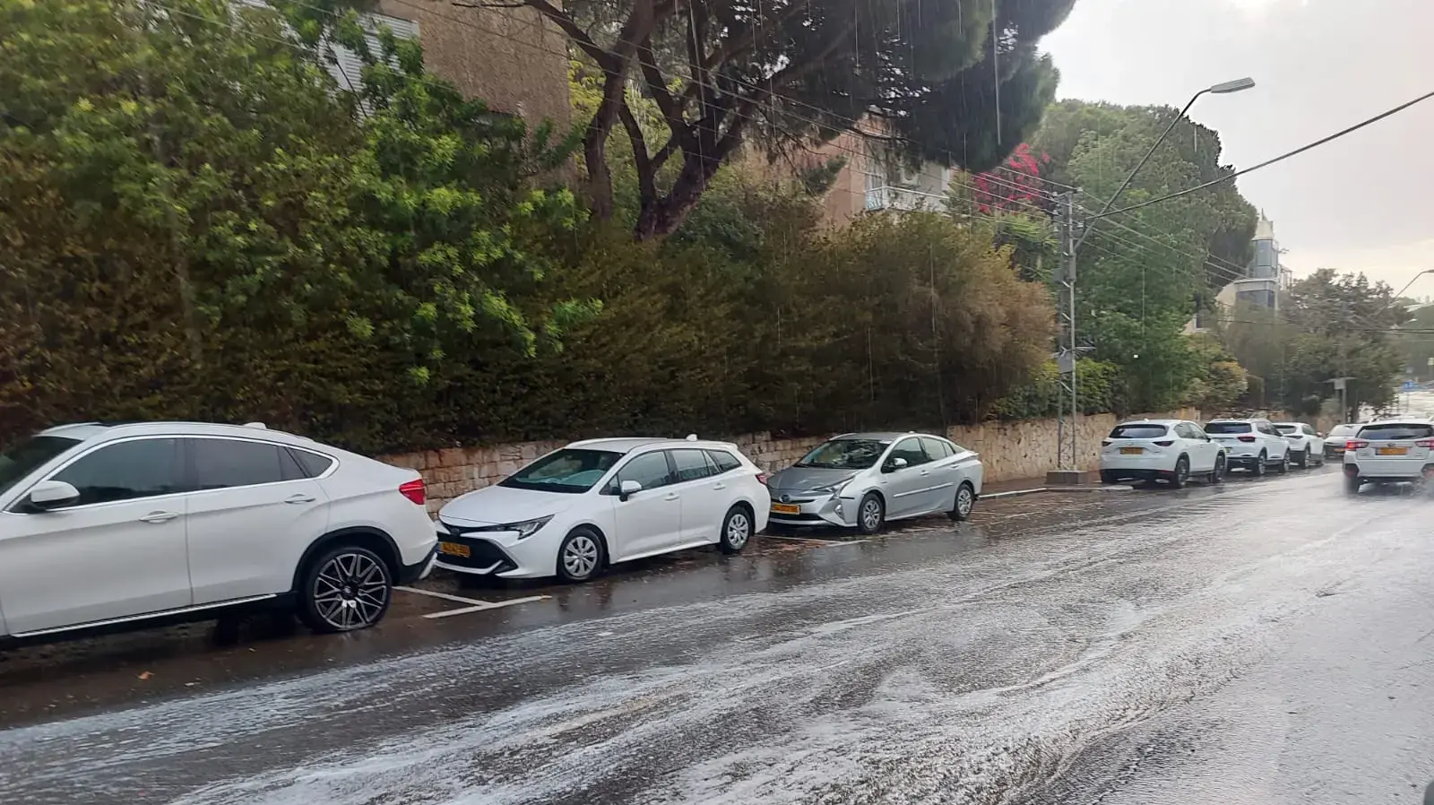 גשם בחיפה גשם בחיפה