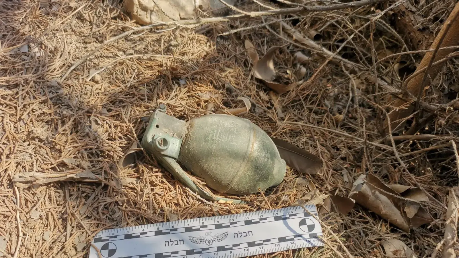 רימון רסס נמצא בבארי על ידי עובדים במרכז הקיבוץ רימון רסס נמצא בבארי על ידי עובדים במרכז הקיבוץ