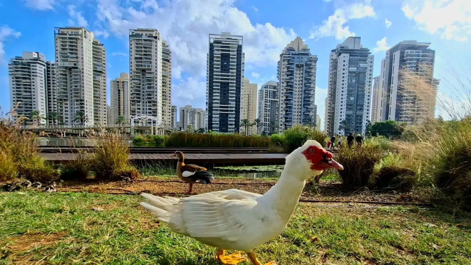מזג אוויר מזג אוויר