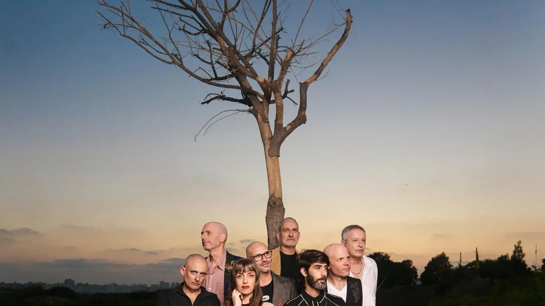 הפטריקים הפטריקים