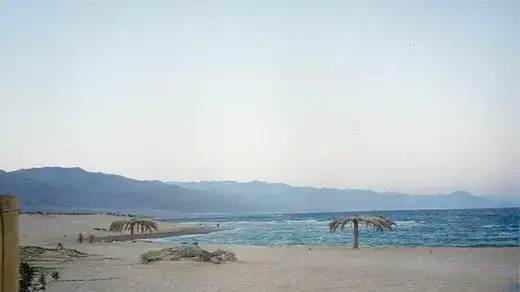 חוף סיני חוף סיני