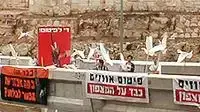 הפגנה של אנונימוס נגד פיטום אווזים הפגנה של אנונימוס נגד פיטום אווזים