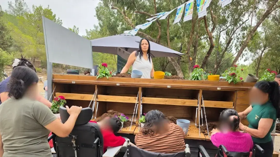 שותלים בתקווה שותלים בתקווה