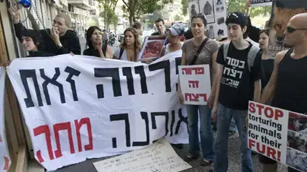 הפגנה נגד מכירת פרוות בת"א הפגנה נגד מכירת פרוות בת"א