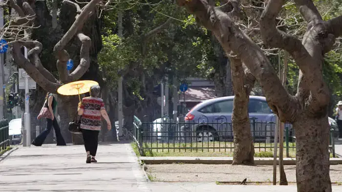 שרב במרץ שרב במרץ