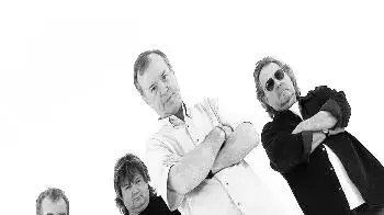 the animals the animals
