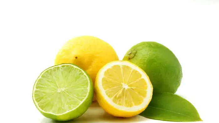 אילוסטרציה אילוסטרציה