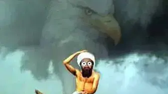 Bin laden horse