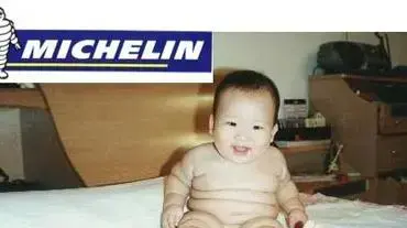 Michlin