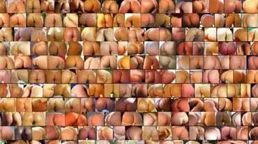 Asses