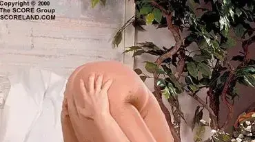 Flexi