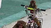 Ape Bike