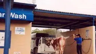 Car wash 2