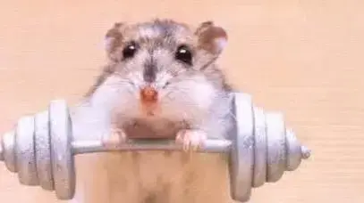 Heavy weight champ