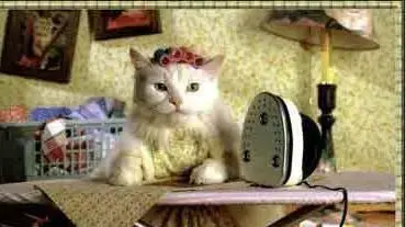 made cat