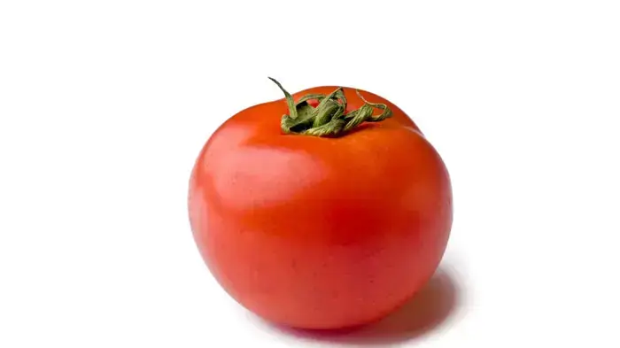 עגבניה עגבניה